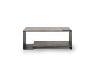 Trica Duo Coffee table